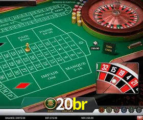 Security Systems 20br